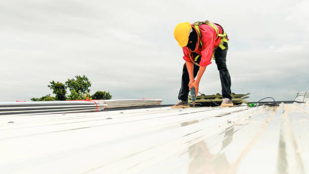 Best Roof Moss and Algae Removal  in Poydras, LA